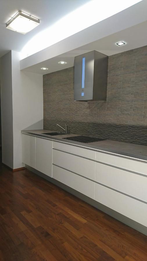קרקוב Quiet And Spacious Apartment With Garage Option מראה חיצוני תמונה