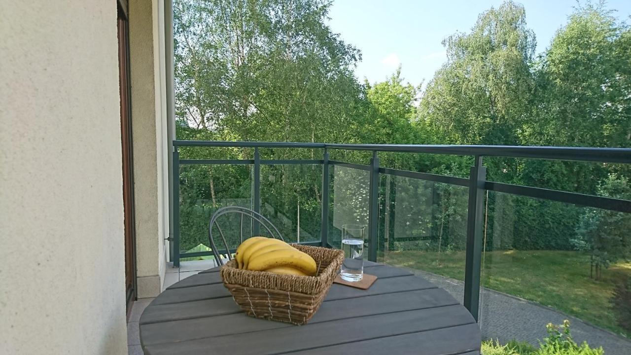 קרקוב Quiet And Spacious Apartment With Garage Option מראה חיצוני תמונה